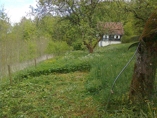 Bild 50
